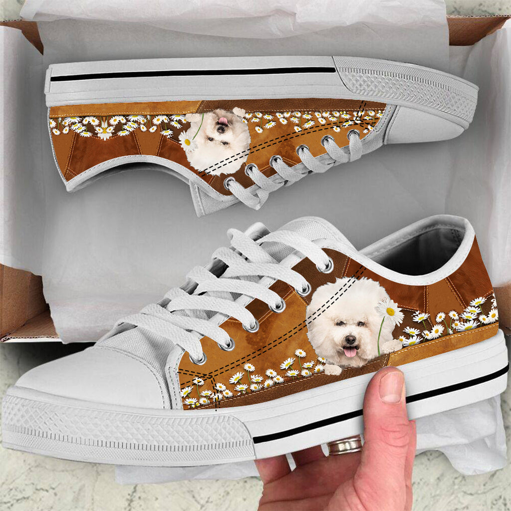 Bichon Frise Holding Daisy Lowtop Shoes