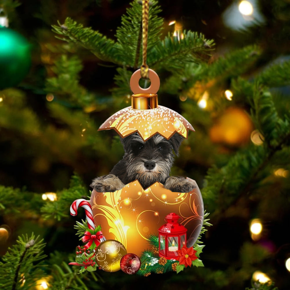 Miniature-Schnauzer In Golden Egg Christmas Ornament
