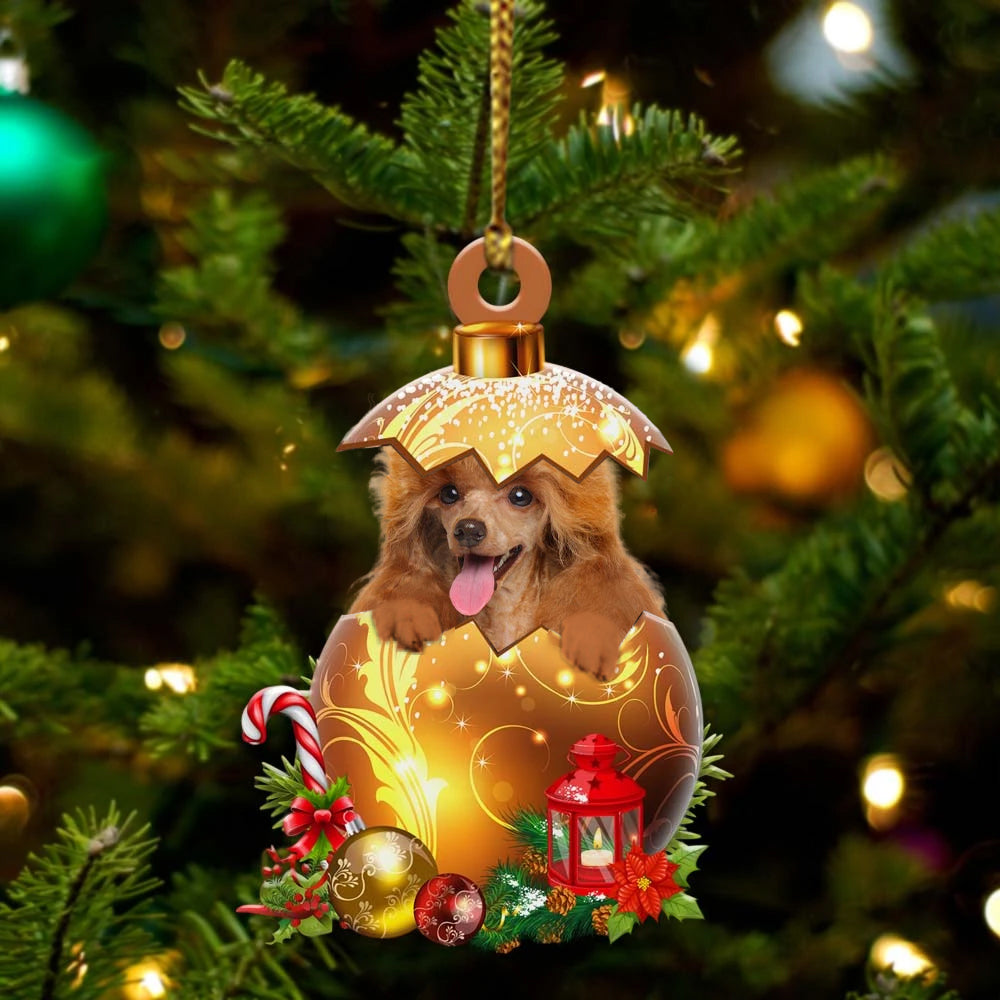 Toy-Poodle In Golden Egg Christmas Ornament