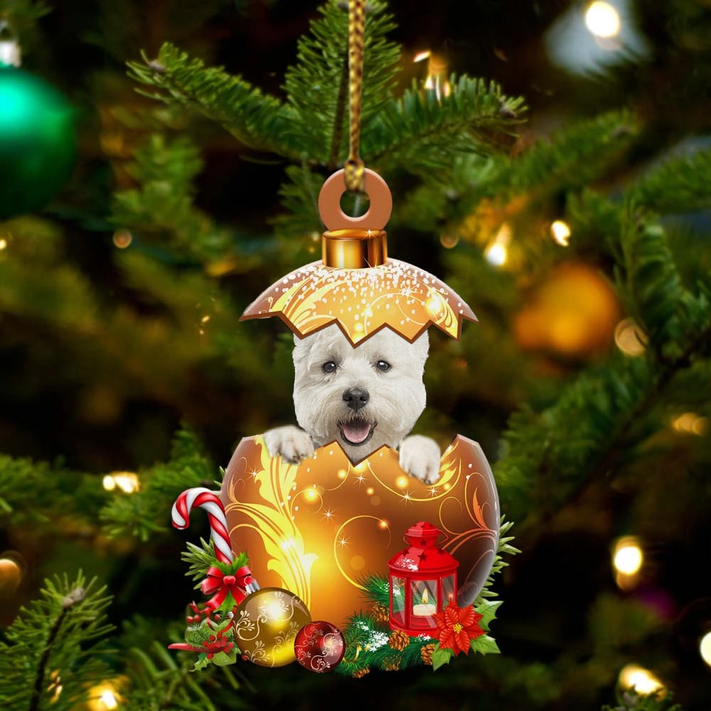 West-Highland-White-Terrier In Golden Egg Christmas Ornament